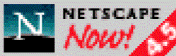 Netscape Navigator